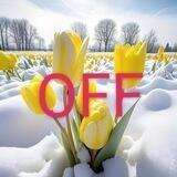 گلدمکث♨️OFF♨️