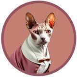 CATCEO - Channel l 1st CEO with CERTIK