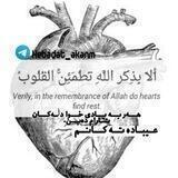 عيباده ته كانم ❤