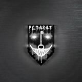 × PedaretVPN Official ×
