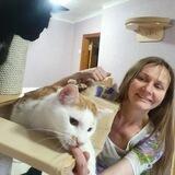 Animal_help161