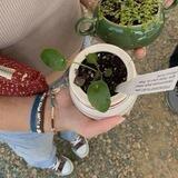 «خوشحالی‌فروشی🍒»
