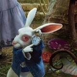 𝕸𝖈𝕿𝖜𝖎𝖘𝖕'𝖘 𝕰𝖒𝖕𝖔𝖗𝖎𝖚𝖒 🐰