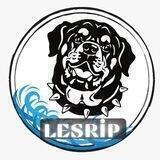 LESRIP TOKEN