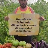 El Palleter
