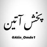 پخش عمده آتین