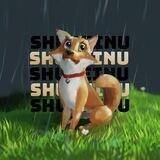 SHUBEINU 2.0