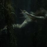 ری‌را ،،