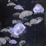 இ🌊подборка «Ꭺᴋʙиᴧᴏн»🌊இ