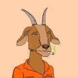 GOAT Reviews - English