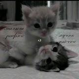♤Ϝⲁⳑⳑⲉⲛ Ⲁⲛⳋⲉⳑⲋ♤ канал.