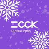 ССК Калининград I Застройщик