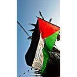 دردشة فلسطينيه🇵🇸❤️‍🔥