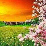 "SURXON NIHOL TO‘GARAGI" a'zolari