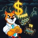 ShockSupplyShibaFrom100DollarsToOneMilion