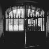 Я люблю Васильевский остров