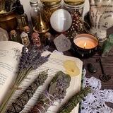محافظ کلبه ی جادوگر🧙🏻‍♀️🌿