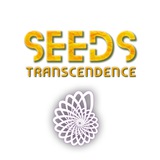 🌱 SEEDS Transcendence