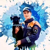 Катерина и Вольт - записки кинолога 🐶
