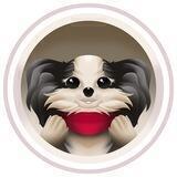 Milli Inu Portal