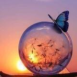 🦋 Neues Bewusstsein_Kanal 🦋