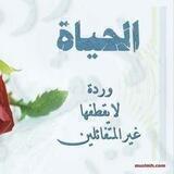 ❤️ ذٌكَرَيّآتُ آلَزَمِـنٌ آلَجَ ـمِـيّلَ
