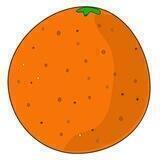 🍊Tangerine Channel
