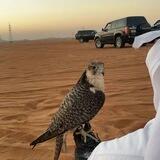 -فخـامـة مـأربيۿ:- ♥✨