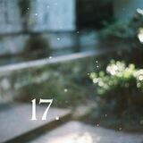 The 17.