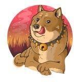 Degocoin