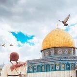مناقشة فلسطينية nablus 💚🇵🇸