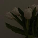 الــحياة جمـيله🕯.
