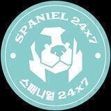 스패니얼 24x7_대화방