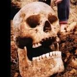 Ancient Celtic NZ
