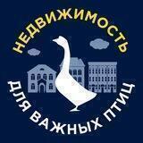 Недвижимость для Важных птиц