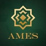 Це AMES: коментарі, оцінки, погляди