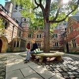 Yale Today