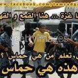 حقيقة حماس الاخوانية