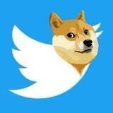 Twitter doge
