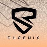 MIUISR | Phoenix | Support