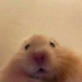 RyanXSChannel