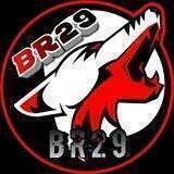 BR29 ACCOUNT STORE