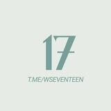 (｡•̀ᴗ-)✧! SEVENTEEN.