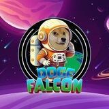 DOGE FALCON - OFFICIAL