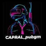 Capral_pubgm