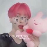 ࣪ ✶ h𔓕lp fr kittens ! ?