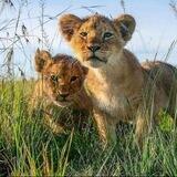 Природа & Relax