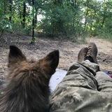 Заберіть у Ліпка РПГ