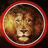 Lions News ❤️ De Bataafse Leeuw