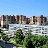 Перловка-чат